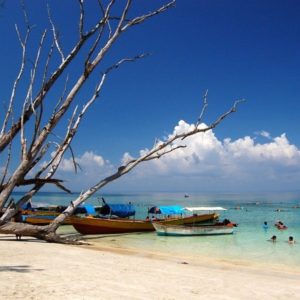 Online Ship Ticket Booking for Andaman