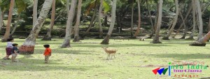 Ross Island andaman