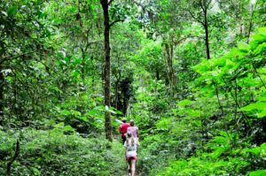 Elephant Beach Havelock Andaman