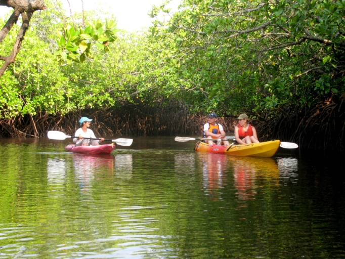 kayaking at baratang island