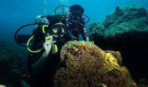 Scuba Diving