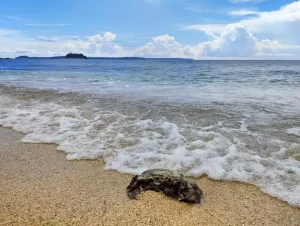 Wandoor Beach