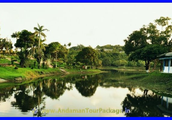 5 Days Andaman Honeymoon Package_AndamanTourPackage.in